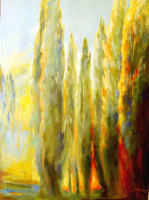 Тополя, закат солнца, 120х90 cm. Холст, масло